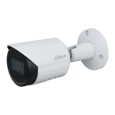 Tubular IP H265 2M WDR Starlight IR30m 2.8mm IP67 PoE MIC AI
