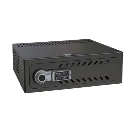 Arcón de Seguridad con Apertura Retardada 550an.