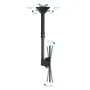 Soporte de techo para pantallas 37"-70"
