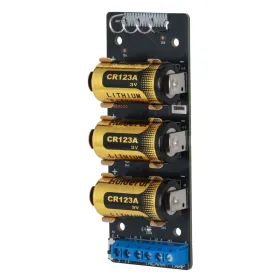 Expansor de entrada. Vía radio 868MHz. Grado2