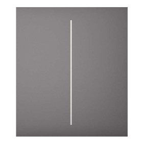 Ajax LightSwitch CenterButton 2-gang. Plusador Central Doble. Color Gris