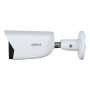 Tubular IP H265 8M WDR Starlight IR30m 3.6mm IP67 PoE SD AUDIO MIC E/S AI